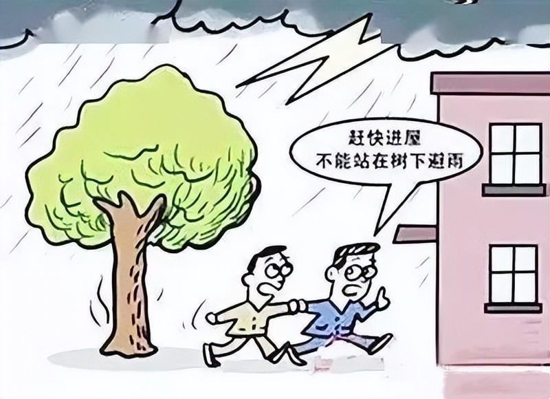 图片5.jpg